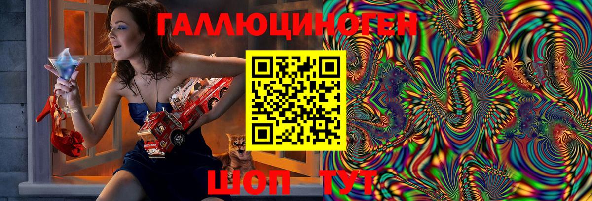Галлюциногенные грибы Psilocybe Воронеж