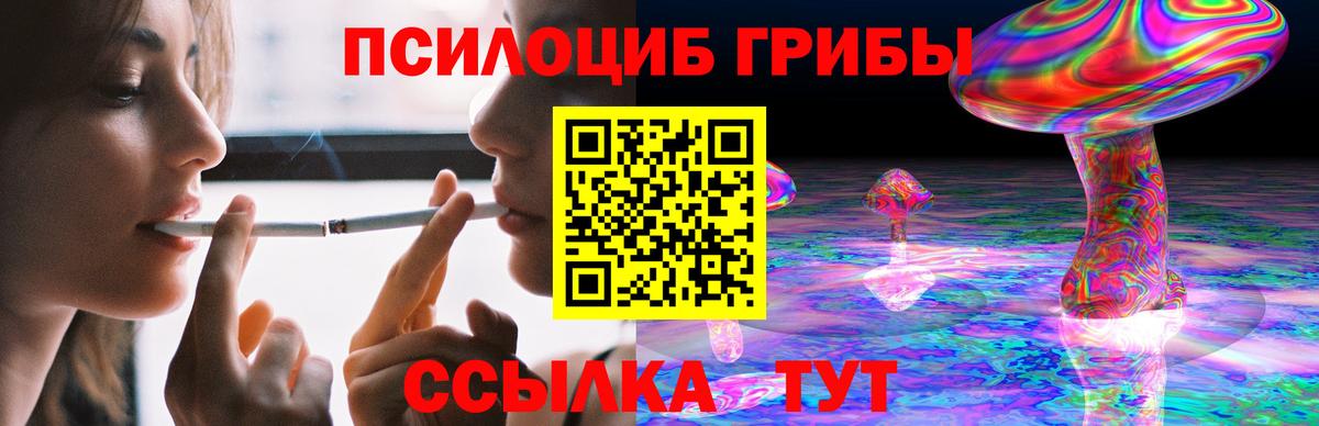 где продают   Вход с VPN  Воронеж  Галлюциногенные грибы Magic Shrooms 